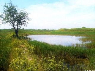 ขาย ที่ดิน ใน แก่งกระจาน, เพชรบุรี