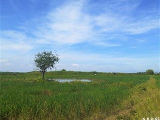 ขาย ที่ดิน ใน แก่งกระจาน, เพชรบุรี