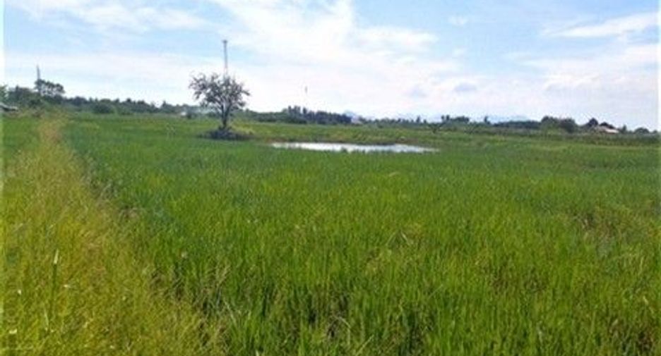 For sale land in Kaeng Krachan, Phetchaburi
