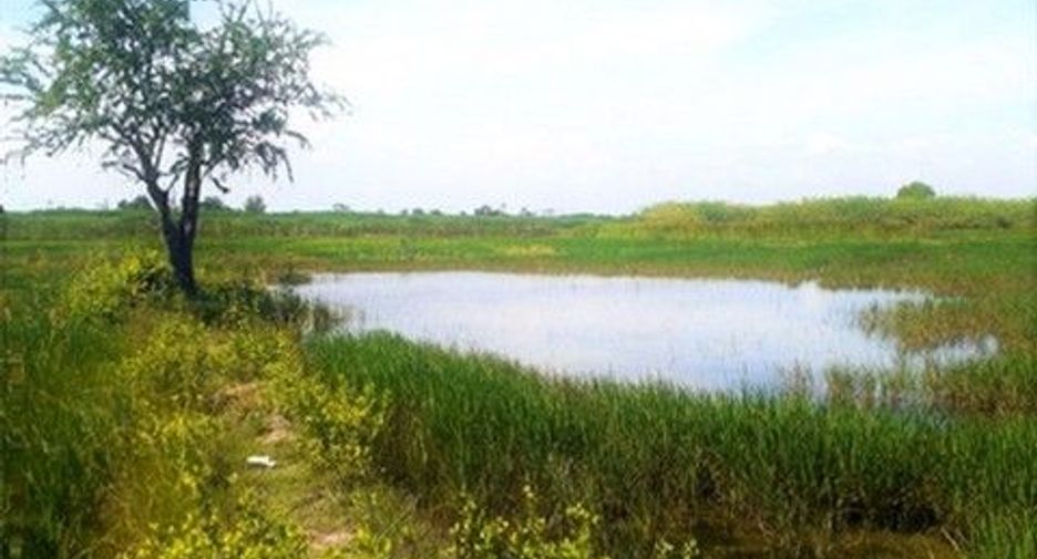 For sale land in Kaeng Krachan, Phetchaburi