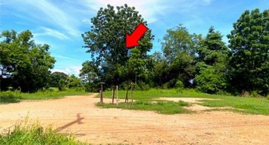 For sale land in Kaeng Krachan, Phetchaburi