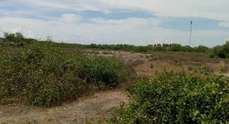 For sale land in Kaeng Krachan, Phetchaburi