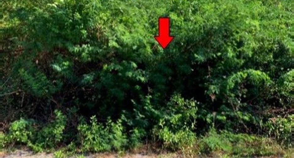 For sale land in Kaeng Krachan, Phetchaburi