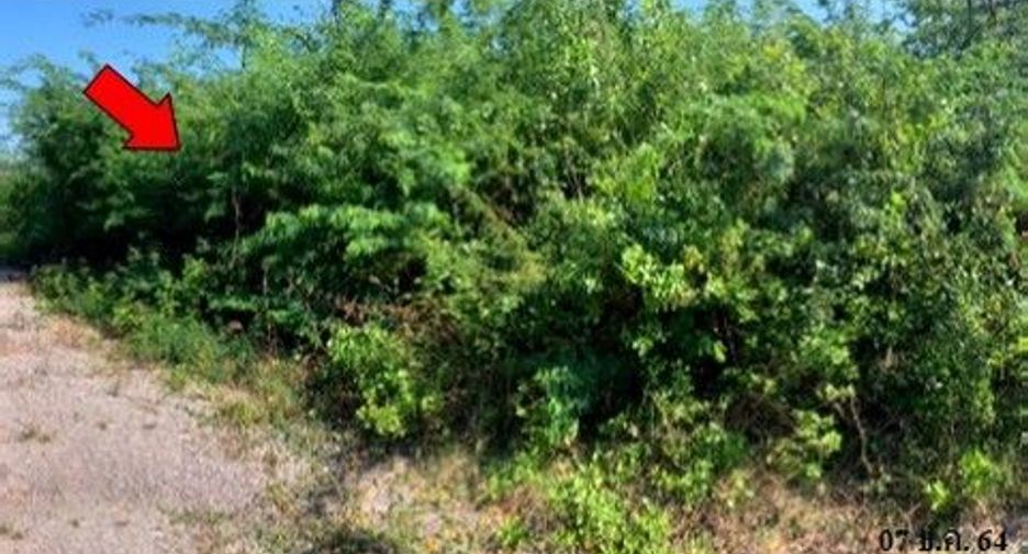 For sale land in Kaeng Krachan, Phetchaburi