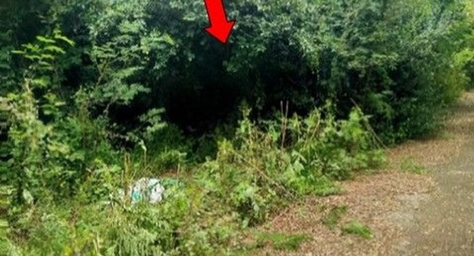 For sale land in Kaeng Krachan, Phetchaburi