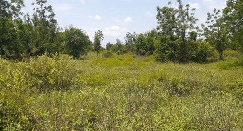 For sale land in Kaeng Krachan, Phetchaburi