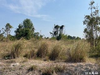 ขาย ที่ดิน ใน แก่งกระจาน, เพชรบุรี