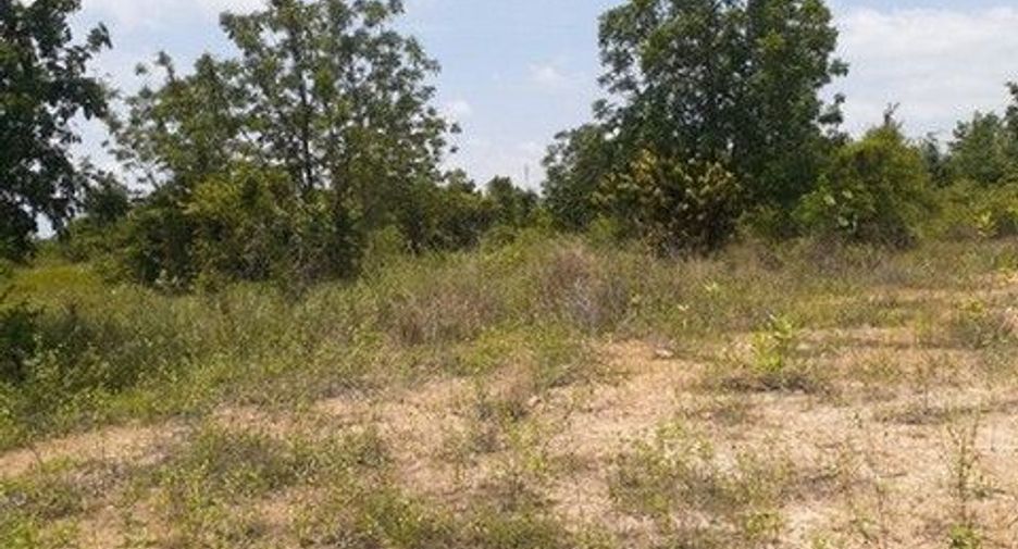 For sale land in Kaeng Krachan, Phetchaburi