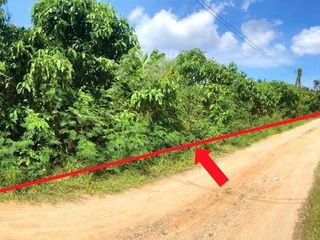 À vendre terrain à Kui Buri, Prachuap Khiri Khan
