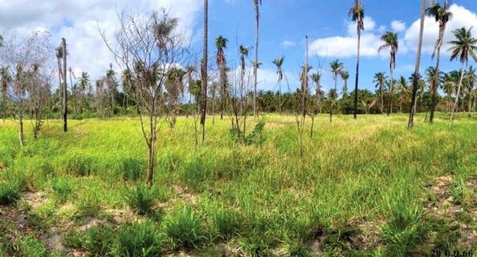 À vendre terrain à Kui Buri, Prachuap Khiri Khan