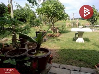 出售 土地 在 Mueang Phitsanulok, Phitsanulok