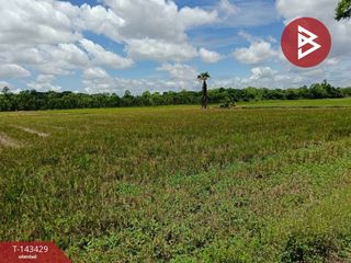 出售 土地 在 Mueang Phitsanulok, Phitsanulok