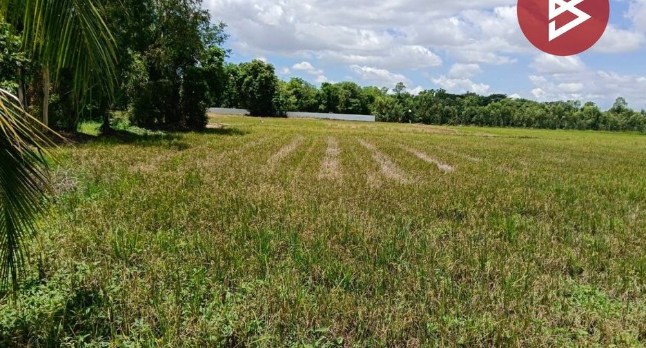 ขาย ที่ดิน ใน เมืองพิษณุโลก, พิษณุโลก