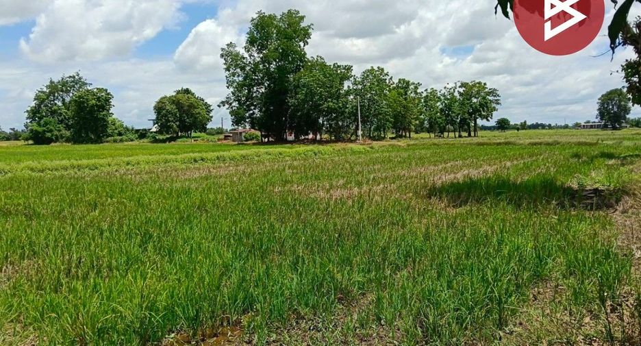ขาย ที่ดิน ใน เมืองพิษณุโลก, พิษณุโลก