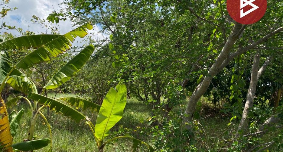 Продажа Участок в Chum Phuang, Накхон Ратчасима