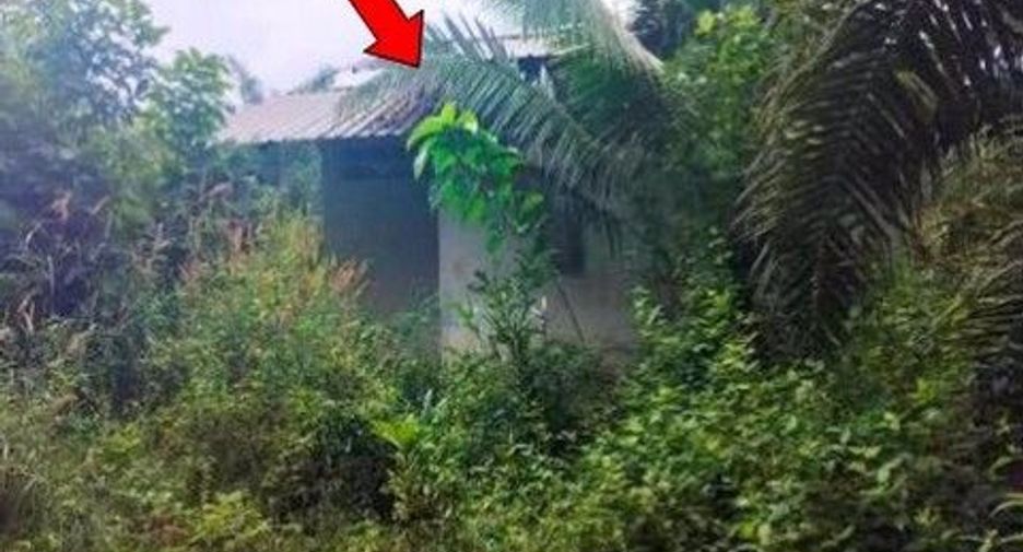 For sale land in Khiri Rat Nikhom, Surat Thani