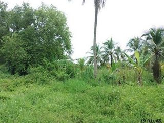 出售 土地 在 Khiri Rat Nikhom, 素叻