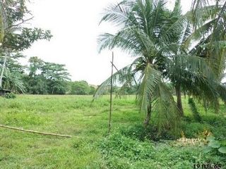出售 土地 在 Khiri Rat Nikhom, 素叻