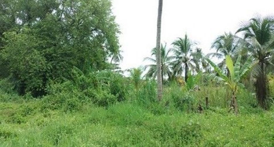 For sale land in Khiri Rat Nikhom, Surat Thani