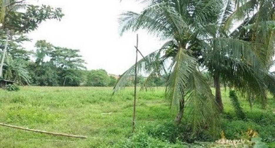 For sale land in Khiri Rat Nikhom, Surat Thani
