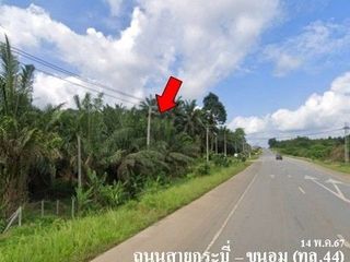 出售 土地 在 Khiri Rat Nikhom, 素叻