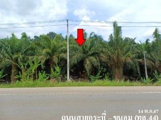 出售 土地 在 Khiri Rat Nikhom, 素叻