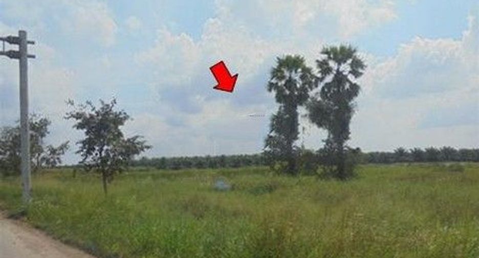 For sale land in Khiri Rat Nikhom, Surat Thani