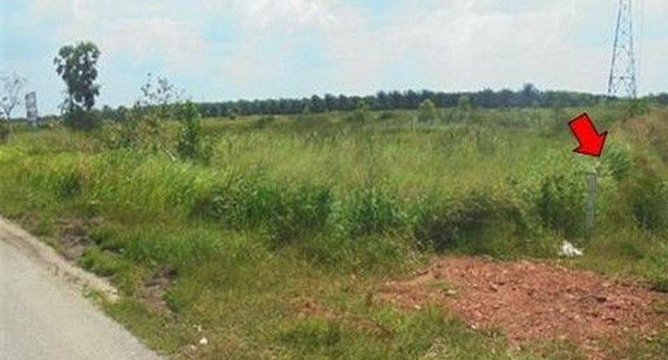 For sale land in Khiri Rat Nikhom, Surat Thani