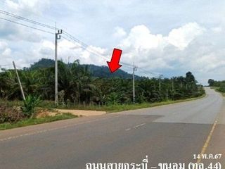 出售 土地 在 Khiri Rat Nikhom, 素叻