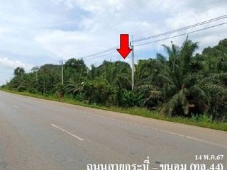出售 土地 在 Khiri Rat Nikhom, 素叻