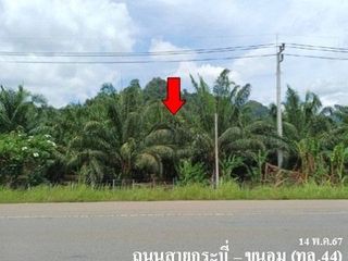 出售 土地 在 Khiri Rat Nikhom, 素叻