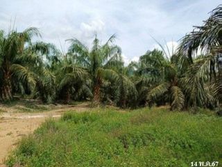 出售 土地 在 Khiri Rat Nikhom, 素叻