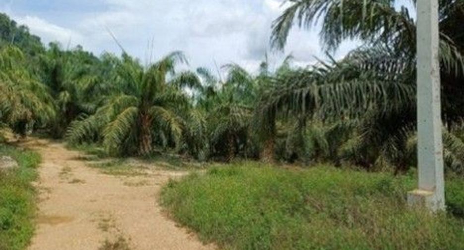 For sale land in Khiri Rat Nikhom, Surat Thani