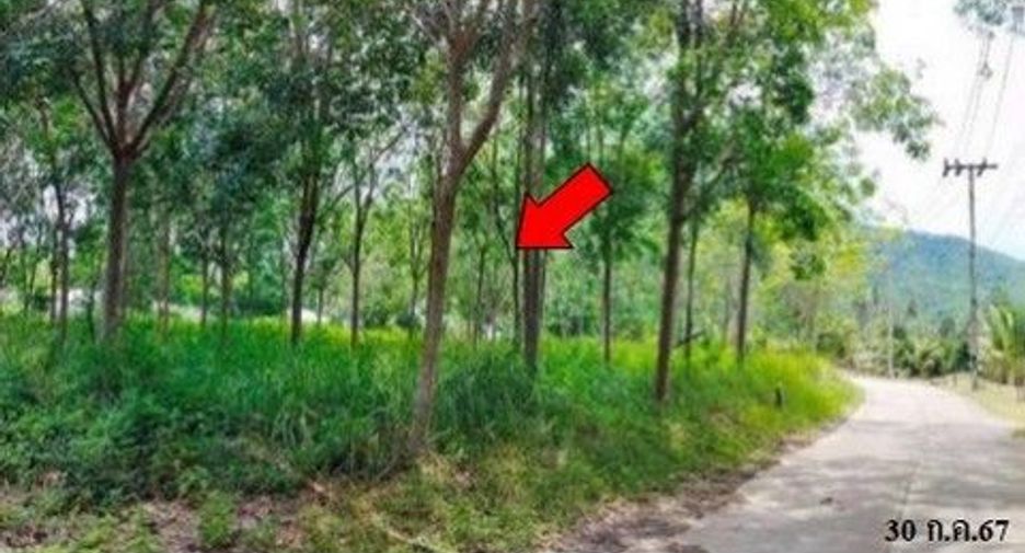 For sale land in Khiri Rat Nikhom, Surat Thani