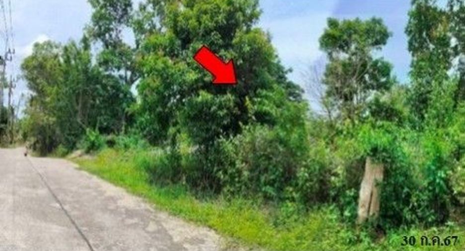 For sale land in Khiri Rat Nikhom, Surat Thani