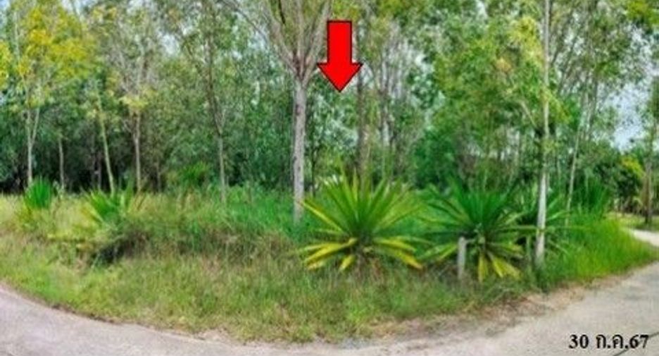 For sale land in Khiri Rat Nikhom, Surat Thani