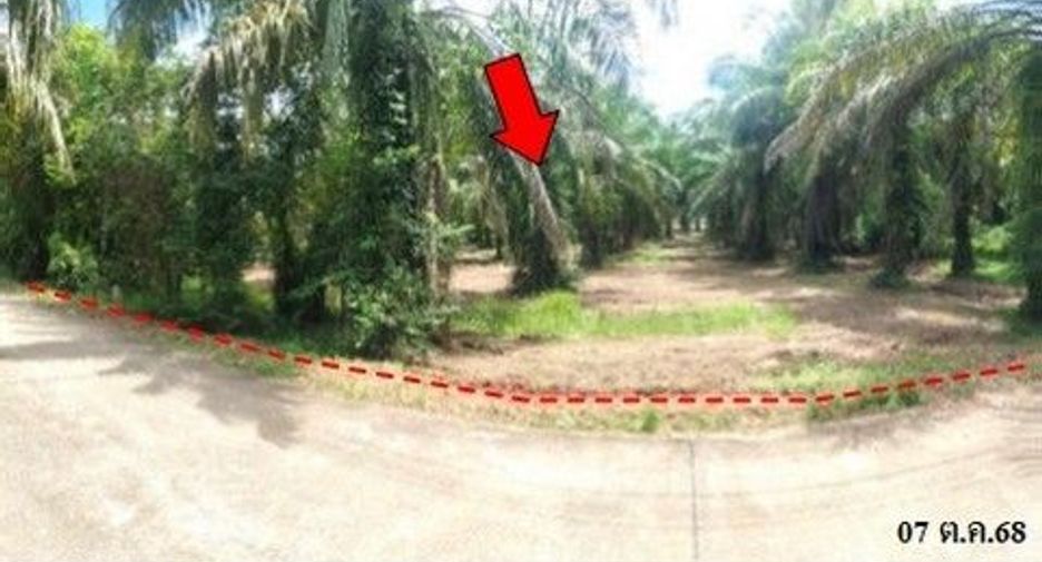 For sale land in Khiri Rat Nikhom, Surat Thani