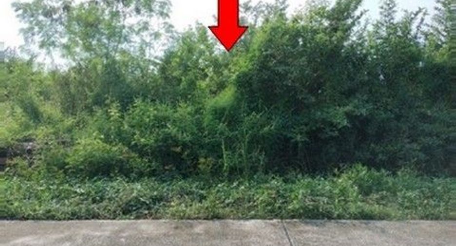 For sale land in Khiri Rat Nikhom, Surat Thani