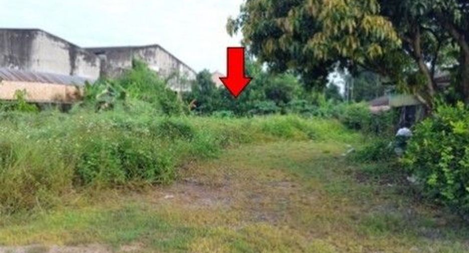 For sale land in Khiri Rat Nikhom, Surat Thani