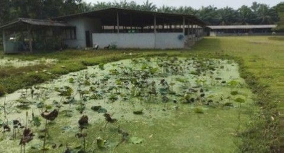 For sale 1 bed warehouse in Tha Sae, Chumphon