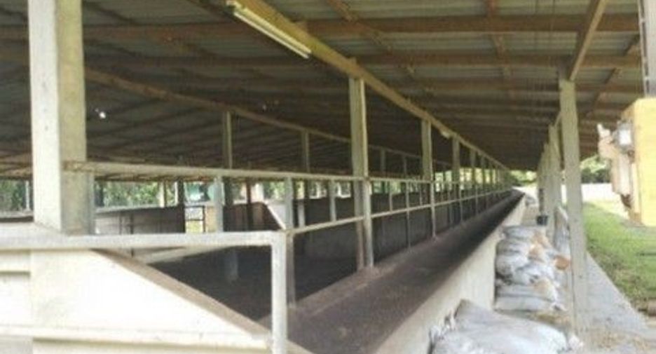 For sale 1 bed warehouse in Tha Sae, Chumphon