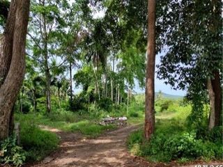 Продажа Участок в Хатъяй, Songkhla
