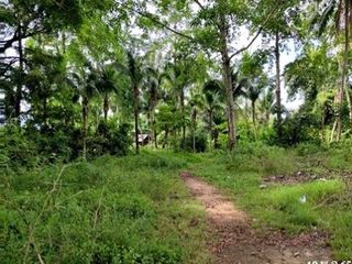 Продажа Участок в Хатъяй, Songkhla