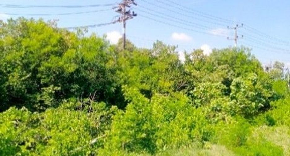 Продажа Участок в Хатъяй, Songkhla