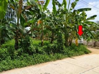 Продажа Участок в Хатъяй, Songkhla