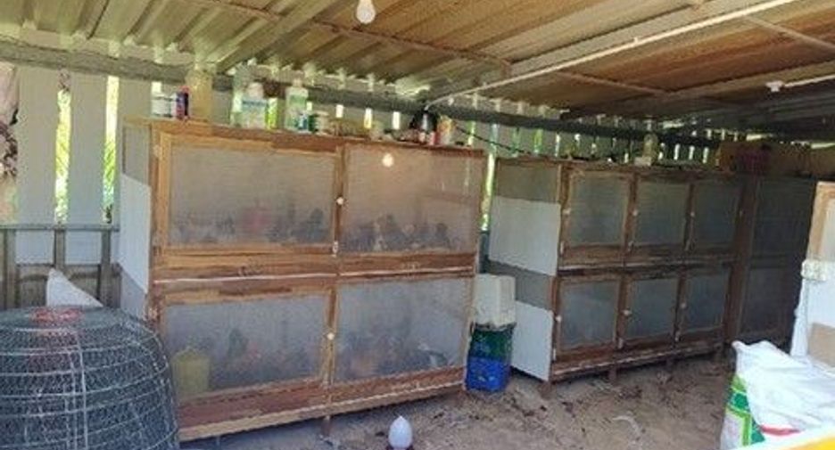 Продажа Участок в Хатъяй, Songkhla