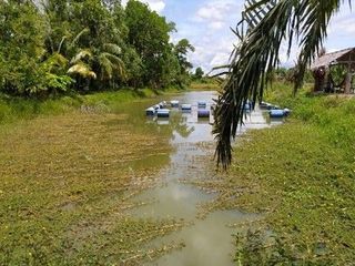Продажа Участок в Хатъяй, Songkhla