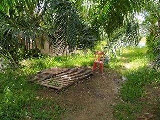 Продажа Участок в Хатъяй, Songkhla