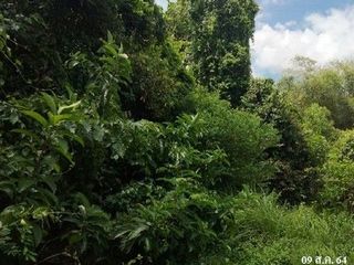 Продажа Участок в Хатъяй, Songkhla