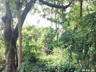 Продажа Участок в Хатъяй, Songkhla